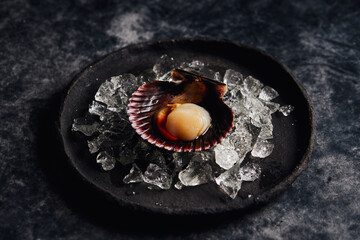 Delicious scallop served on shell against dark table