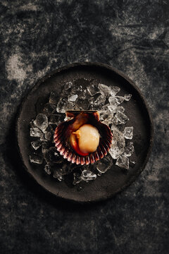 Delicious scallop served on shell against dark table