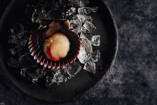 Delicious scallop served on shell against dark table