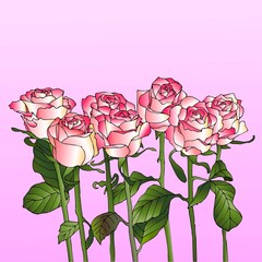 Seamless pattern with the image of flowers of pink roses on a pink background. Vector illustration.