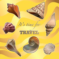 Seashell collection on sand background. Vector illustration.
