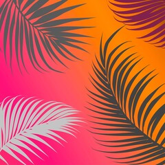 Vector banner with color tropical leaves.
