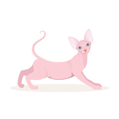Sphinx cat on a white background. Cartoon design.
