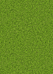 3D Green grass