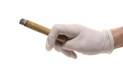 Luxury handmade cigar glowing ember in latex surgical glove hand isolated on white  
