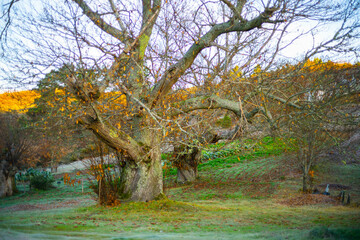 former village of Parada da Serra