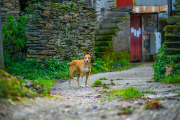 former village of Parada da Serra