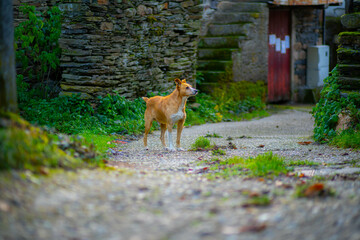 former village of Parada da Serra
