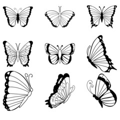 Hand drawn set of doodle insects. Monochrome image of flying and sitting butterflies. Black and white elements for coloring.