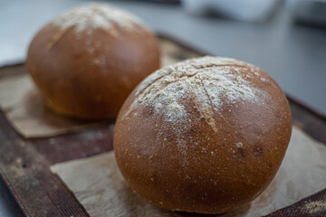 Freshly baked crunchy round bread