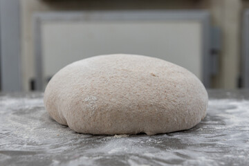 Fototapeta na wymiar Sourdough to make bread with flour on top