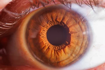 Möbelaufkleber brown eye of a person © Lorant