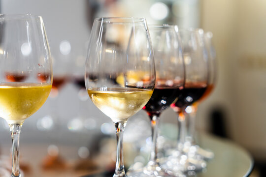 Variety of wines during wine tasting in the winery in Portugal