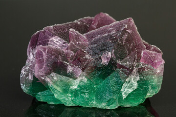 macro mineral stone green and purple fluorite on a black background