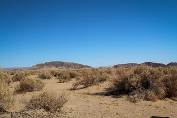 Blick in die Wüste in Nevada. Viel Sand, Berge und wenig Vegetation. Ein wunderschöner Ort.
