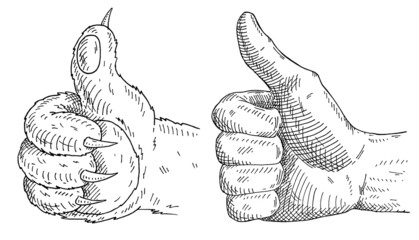 Cat paw and himan male hand showing symbol like isolated on a white background.