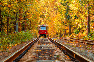 Fototapeta premium Autumn forest through which an old tram rides (Ukraine)