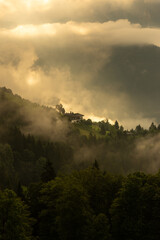 fog in the mountains