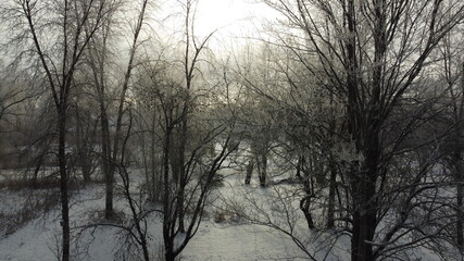 Winter Landscape From Drone