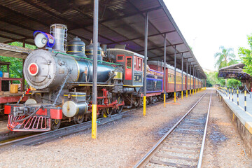 Naklejka premium trem