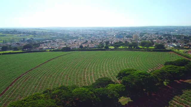 Rotating in a rural area showing the beauty of Brazil, scene with drone, 4K.