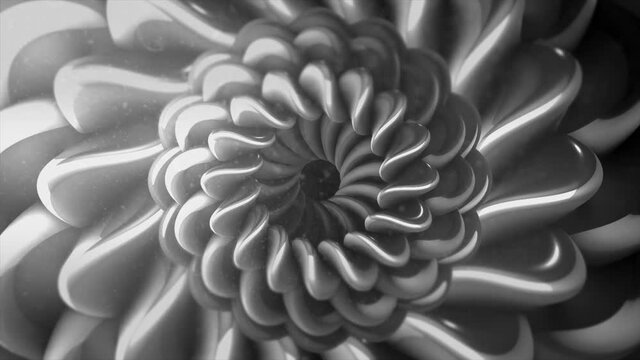 Grey monochrome floral spiral shapes in looped animated background. Motion. Transforming black and white fractals.