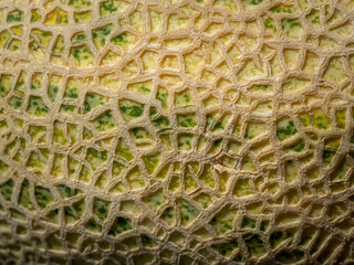 Сantaloupe sweet melon closeup texture background