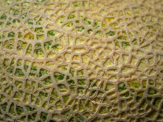 Сantaloupe sweet melon closeup texture background