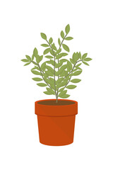 Vector illustration flower, plant growing in a pot. Potted plant icon. Little plant seedling. Seedling icon