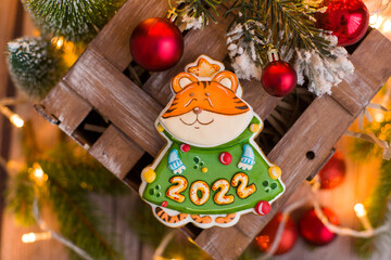 Tiger 2022. Gingerbread tiger. DIY tiger with number 2022. Christmas decoration with tiger.