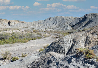 Desert landscape
