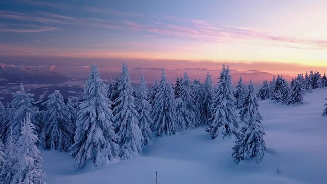 Aerial view of Magic frozen forest nature in winter mountain before sunrise blue hour