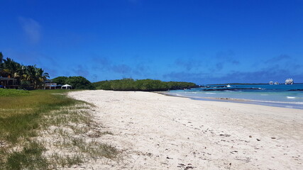 Fototapeta premium Sandy beach on the island of Isabela, Galapagos archipelago.