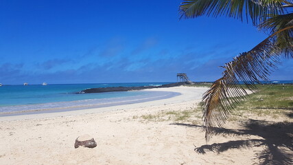 Fototapeta na wymiar Sandy beach on the island of Isabela, Galapagos archipelago.