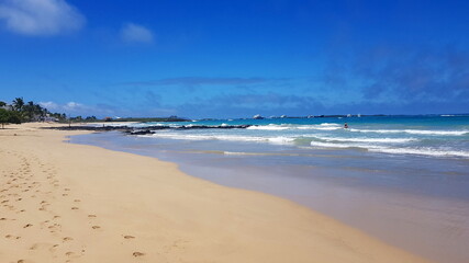Sandy beach on the island of Isabela, Galapagos archipelago.