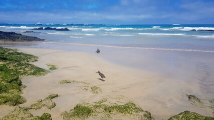 Sandy beach on the island of Isabela, Galapagos archipelago.
