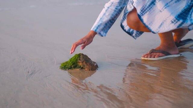 Woman touching Green algae on beach stone with ocean water. Natural sea grass pattern. Natural pattern, texture.  environment, ecology concept