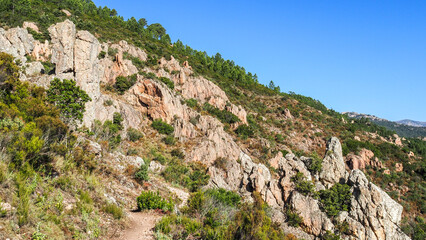 Corsica is the fourth-largest island in the Mediterranean and lies southeast of the French mainland.