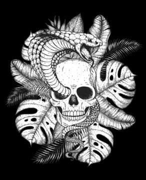 Skull, cobra snake and palm leaves hand drawn illustration. Tattoo vintage print. Hand drawn floral print. Tattoo design. Jungle print. Tropical illustration.