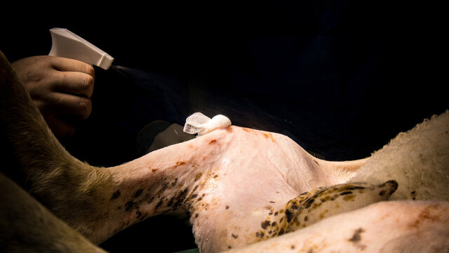 spray en paciente intraquirurgico. aspersion. 