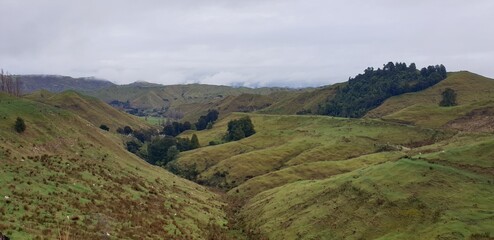 Obraz premium New Zealand, South Island