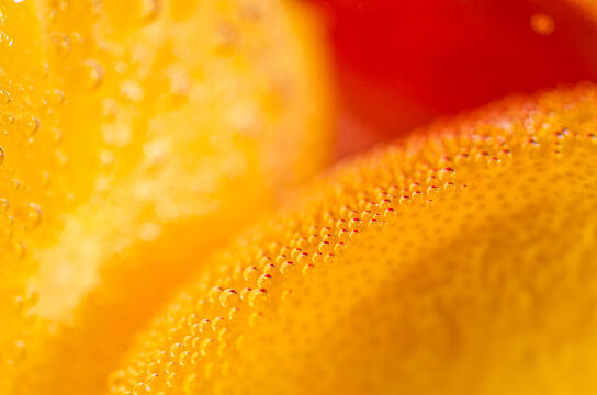 Macro Bubbles