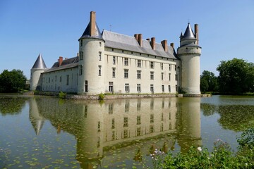Obraz premium Le château du Plessis-Bourré vu depuis le parc