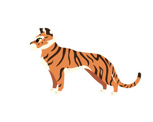 Obraz premium Collection of tiger's illustrations with brown stripes and big eyes in different poses