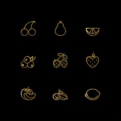 Icons. Golden berries. Silhouette outline on black background. Linear graphics. Vector. Doodle. The set can be used for web design.