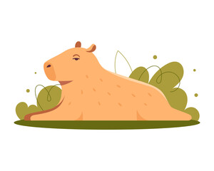 Capybara lies in the bushes