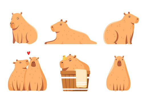 Capybara Animal Set