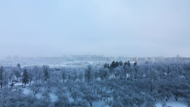 Winter city garden.  Trees in the snow. Flying over a snow-covered park. Aerial photography.
