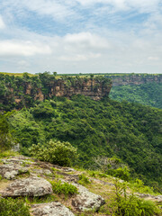 Fototapeta na wymiar Oribi Gorge lush jungle and the west side sand stone rock face