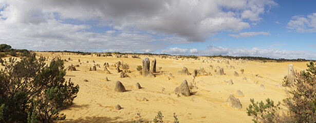 Dry desert landscapes in the Pinnacles Desert of Western Australia near Perth.